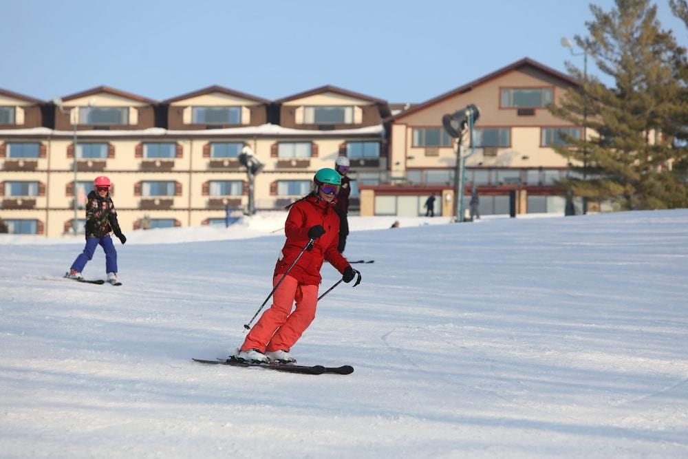 Chestnut Mountain Resort 加利纳 外观 照片