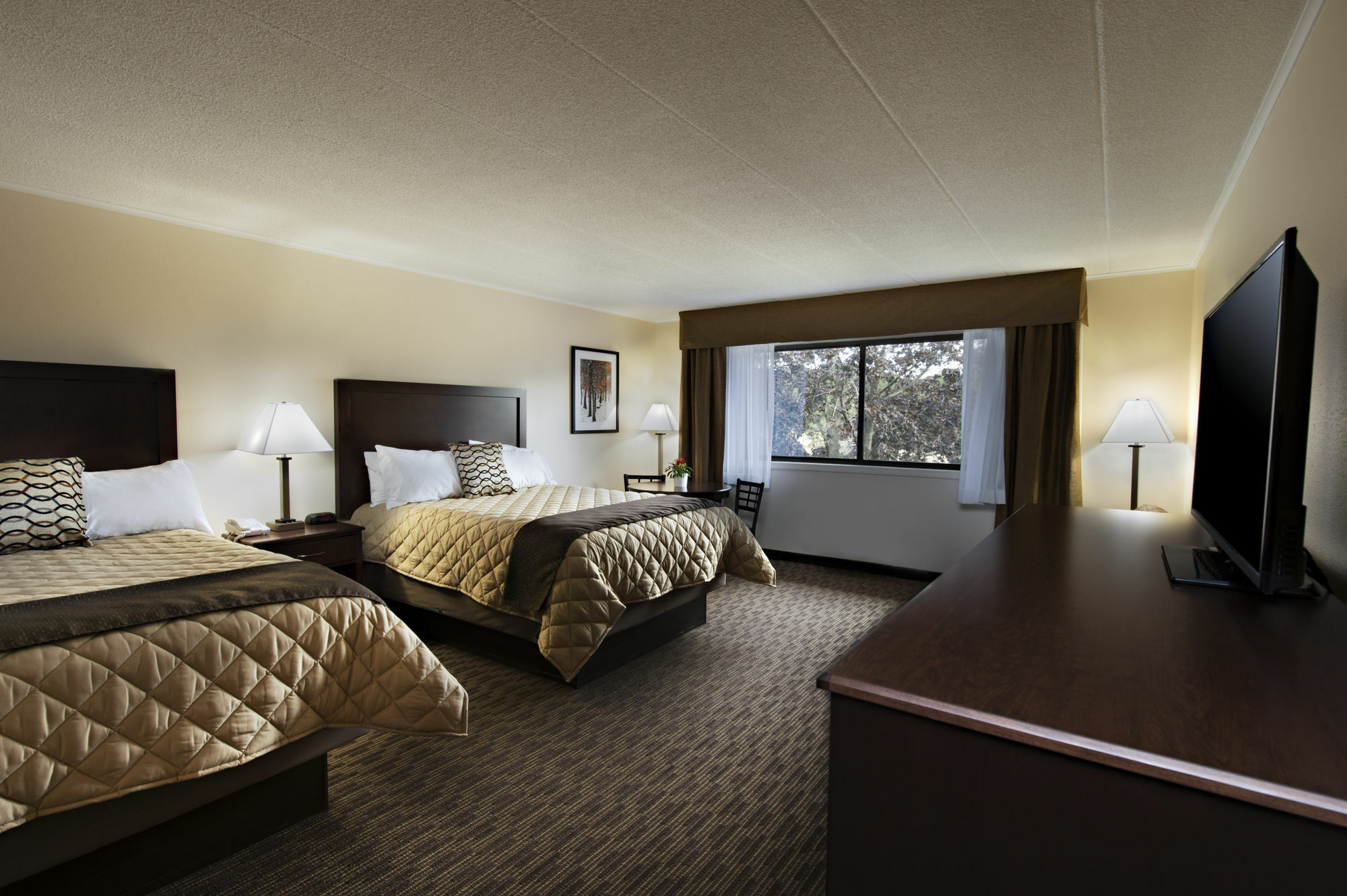Chestnut Mountain Resort 加利纳 外观 照片
